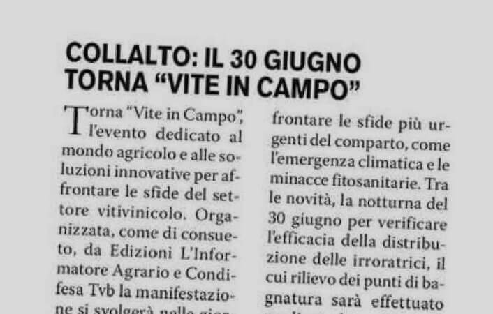 Dicono di noi - L'Azione