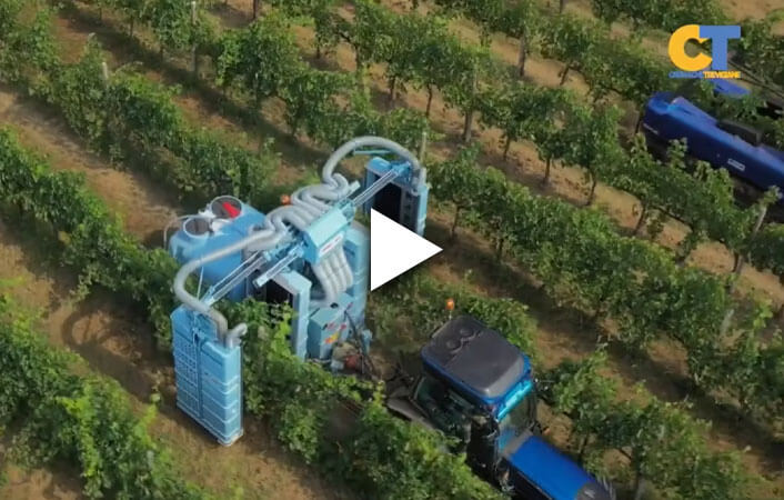 Dicono di noi – Cronache Travigiane Dicono di noi - Cronache Travigiane