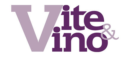 Vite & Vino